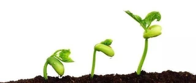 农药杀虫杀菌大全,药效长的杀虫杀螨农药