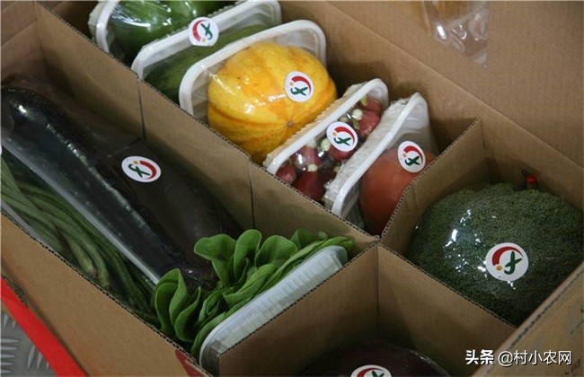 农村创业有哪些致富项目呢,现在农村创业有什么好做的项目