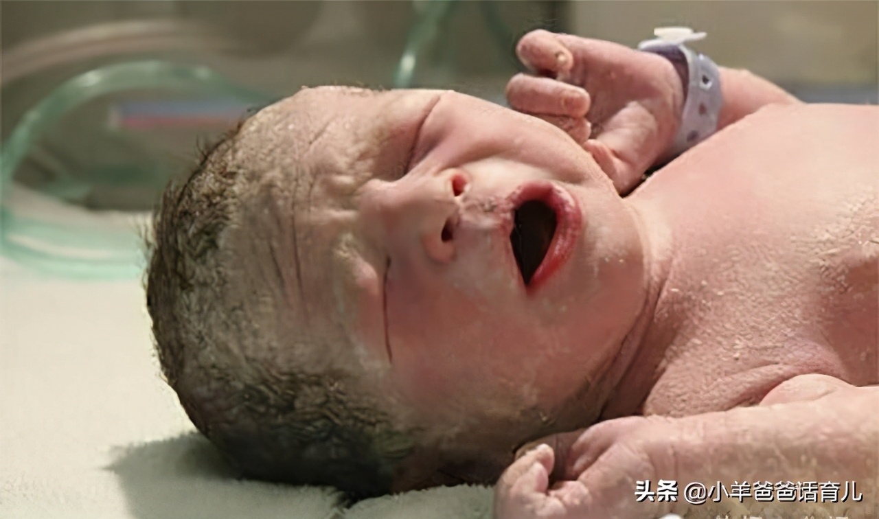 宝妈看见宝爸就想吐是什么原因,宝妈第一次见到宝宝一脸嫌弃