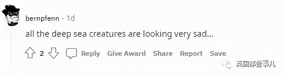 鲨鱼身体，猪猪的脸？意大利船员，打捞到了一只猪脸鲨鱼...