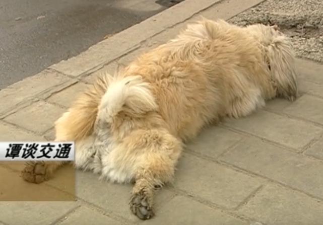 豆瓣9分的国产综艺,国内豆瓣评分9.5以上的综艺