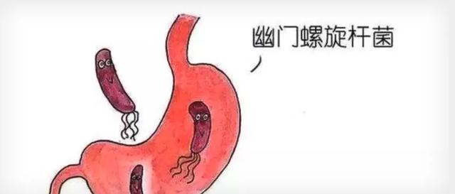 病例：上腹胀，幽门螺杆菌阳性，服药后不适