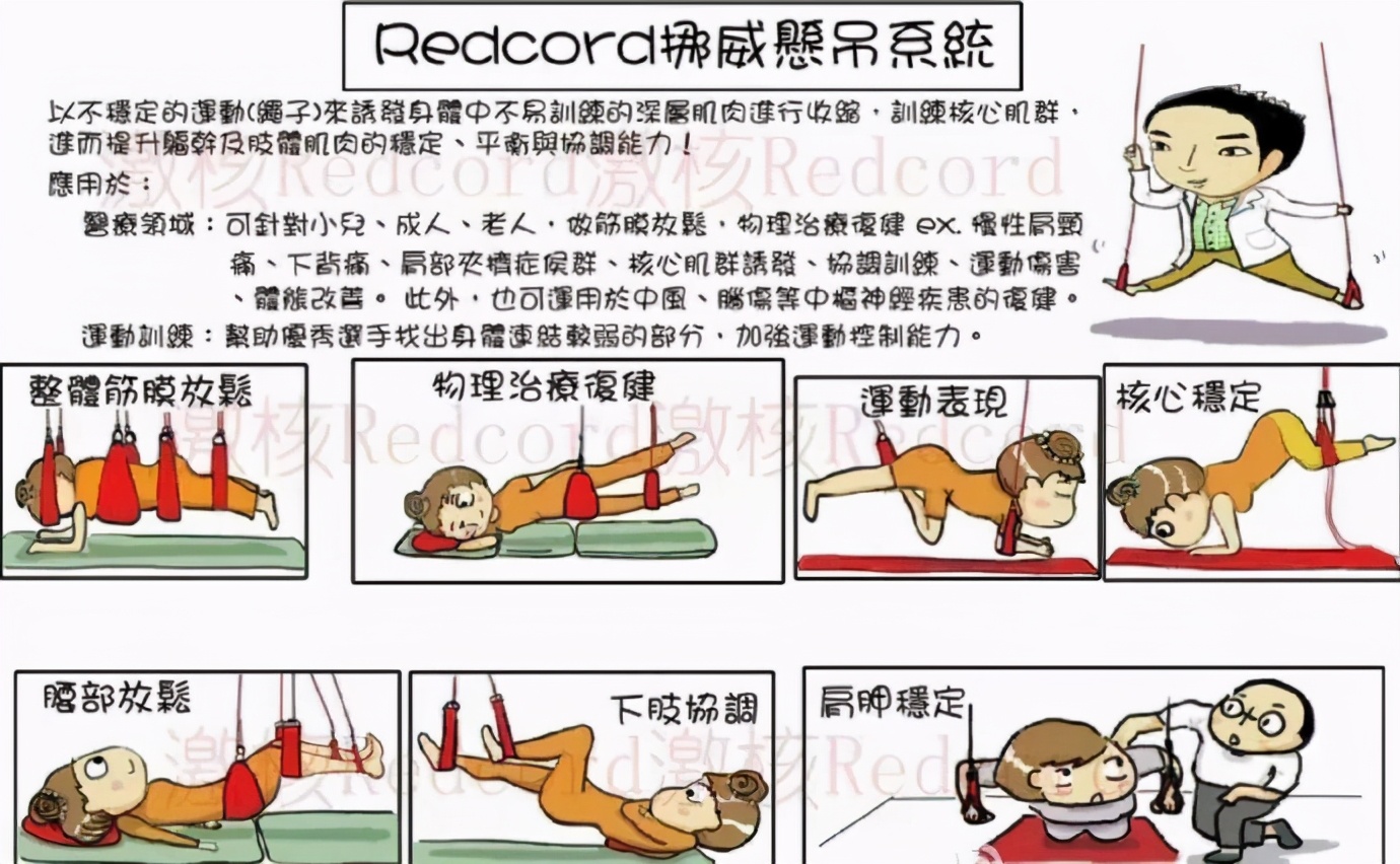 不能飞去巴黎伦敦，不如到大连喂鸽子，赏海景吃海鲜