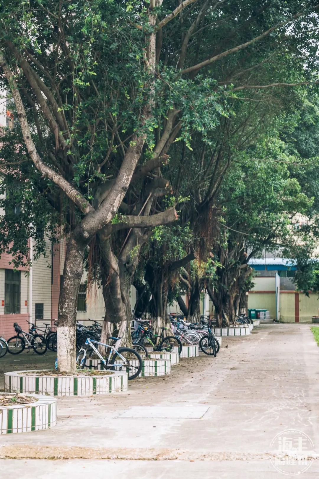 海丰龙津河畔,海丰县莲花山中学视频