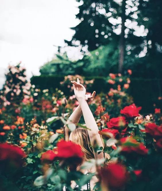 开花店必须要知道的花艺知识科普,开花店花艺师都需要掌握什么技术