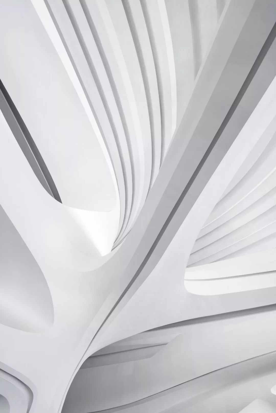 长沙梅溪湖国际艺术中心建筑,长沙梅溪湖国际艺术中心效果图