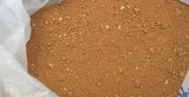 苔藓意境盆景,文人树盆景怎么养才能突出好看