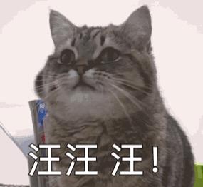 核桃布里奥斯奶油夹心面包,核桃布里奥斯面包的来历