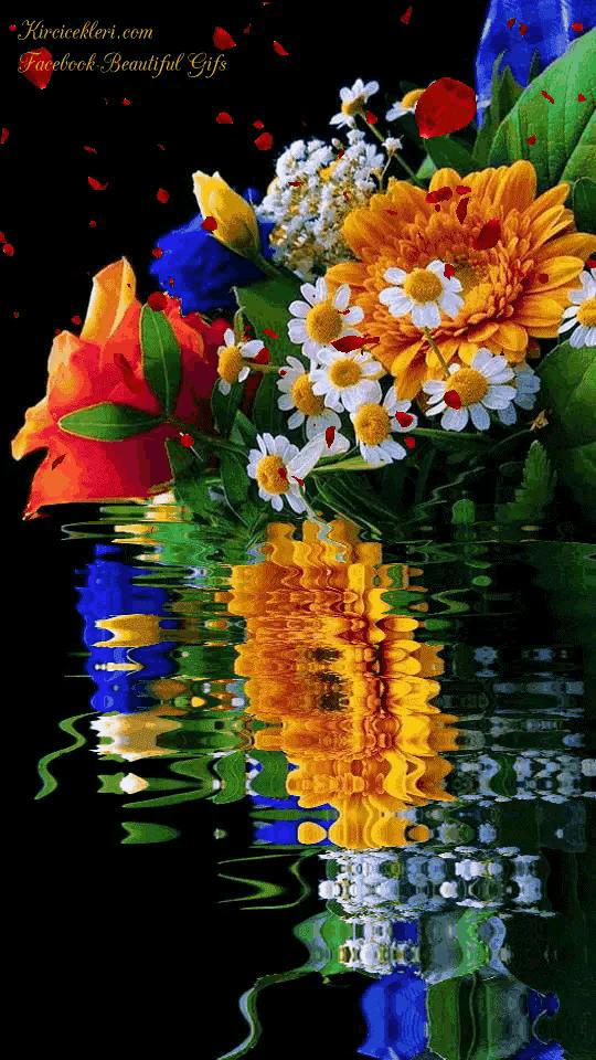 这是我见过最美的风景吗,这是我见过的最美的风景英语