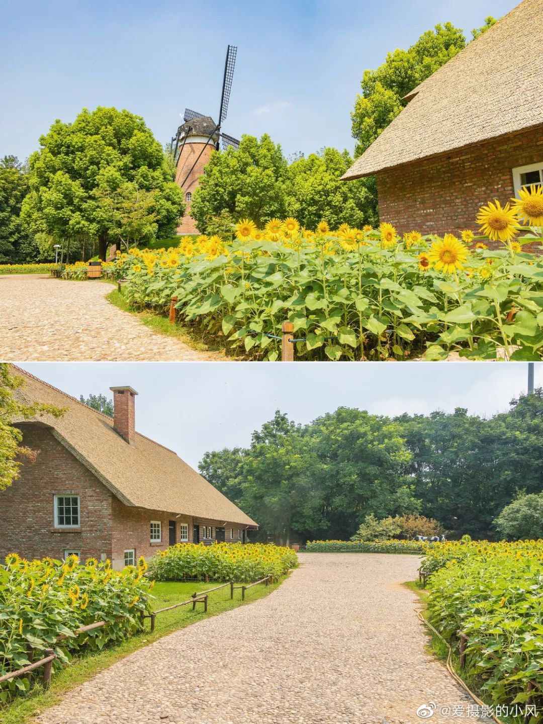 南京小众景点,南京小众花园秘境