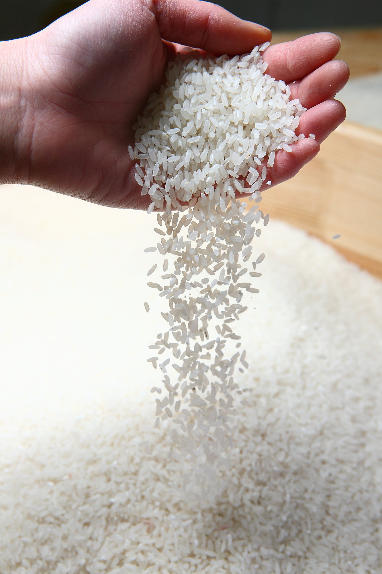 日本什么牌子的电饭煲煮饭最好吃,国产电饭锅与日本电饭煲差距大吗