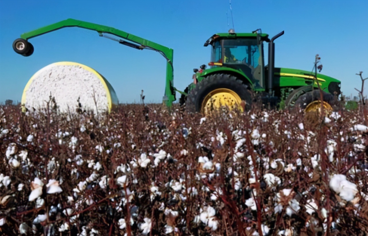 澳棉迎来大丰收,棉农却高兴不起来,“天时”来了无“人和”