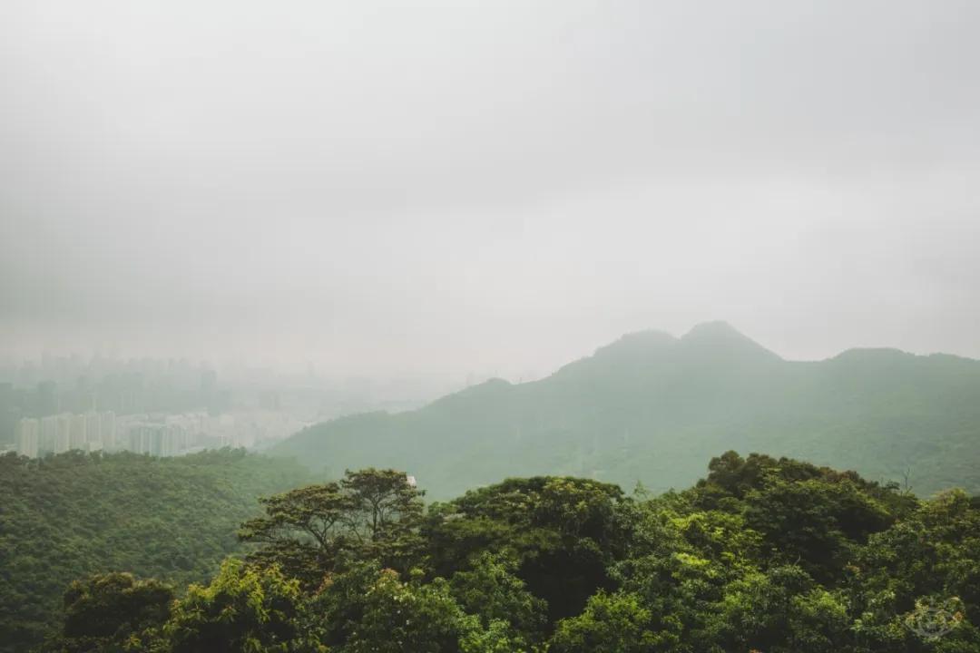 深圳值得去的地标,深圳值得去的景点排行榜
