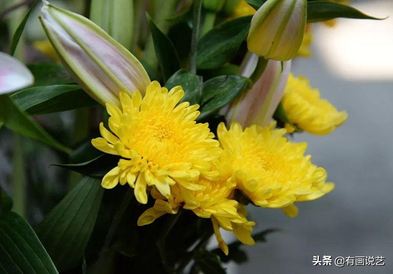 清明节的习俗以及清明节的由来,清明节的由来和各地清明节的习俗