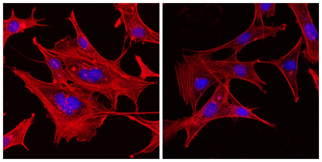 小说封面设计入门教程,怎样把文章变成自己写的