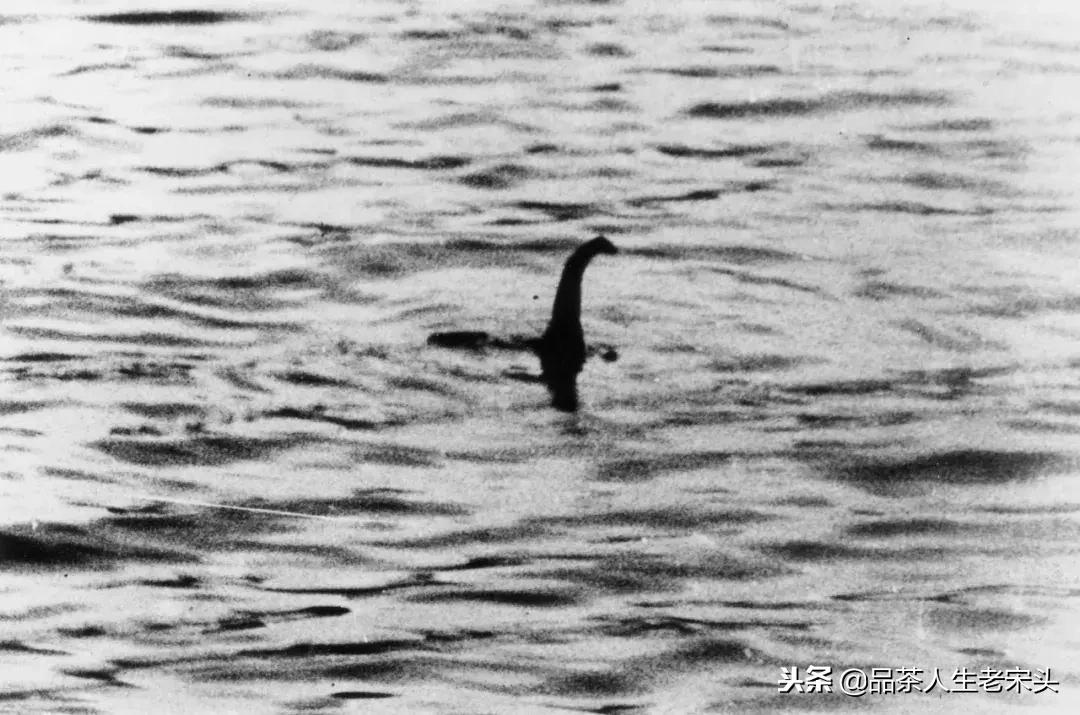 最新世界十大“怪”，最后一个太绝了！