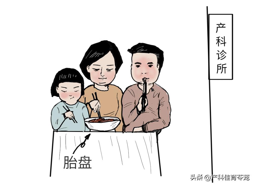 胎盘的营养和功效，没那么神