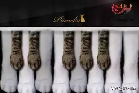 三代不懂音乐能学好乐器吗,没有基础的孩子学什么乐器好呢