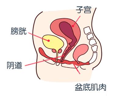 生完孩子盆底康复治疗有必要做吗,生完孩子后有必要做盆底康复