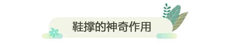 新鞋里的纸团叫什么,新鞋子里的纸团有什么用