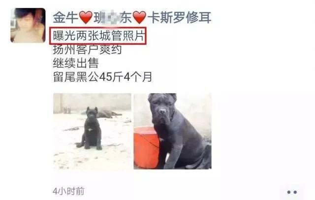 给狗起名字侵权吗,给狗起了一个字名字