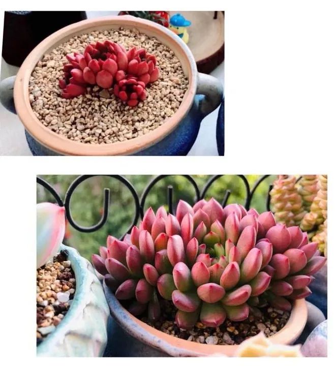 万物皆有灵性有因必有果,万物皆有灵性与生命