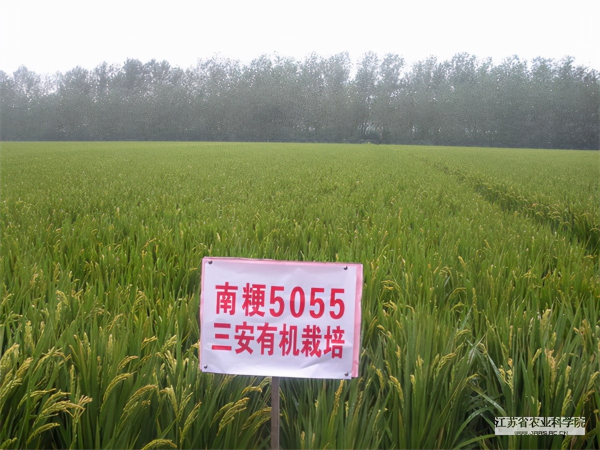 江苏华穗粮食有限公司,江苏华穗粮食有限公司东莞分公司