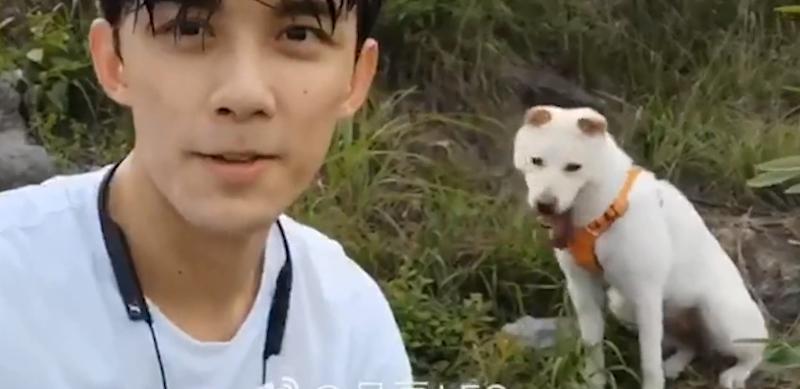 鹿晗踢足球被小朋友撕名牌,鹿晗和吴磊打戏扔手榴弹