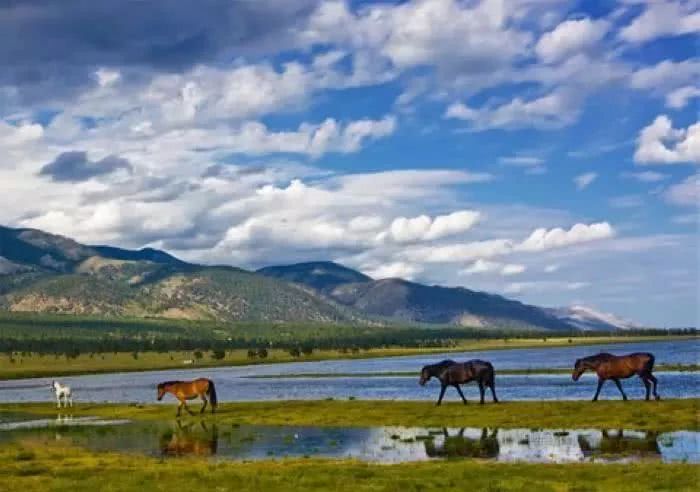 担心中国人“入侵贝加尔湖”,俄罗斯人是杞人忧天吗?