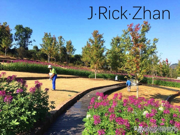 怎么种植草坪不长杂草,如何养好草坪