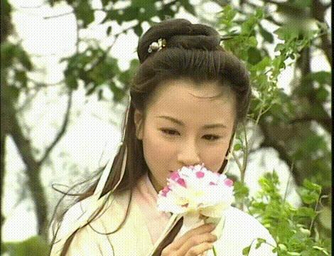 人龙传说陈浩民袁洁莹高清,人龙传说陈浩民袁洁莹竖屏