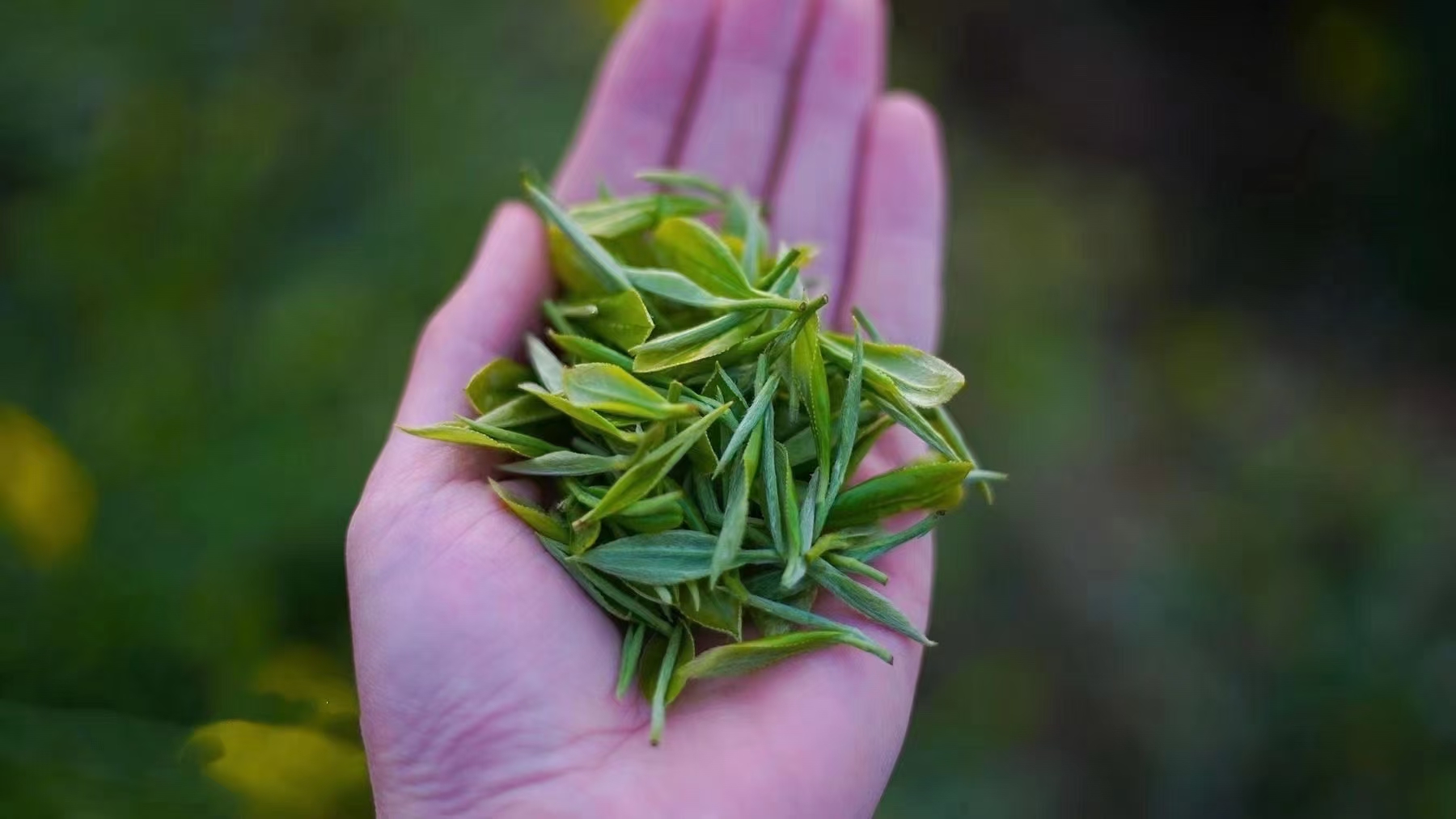 山沟沟的风景不错啊,山沟沟的风景是不是很美