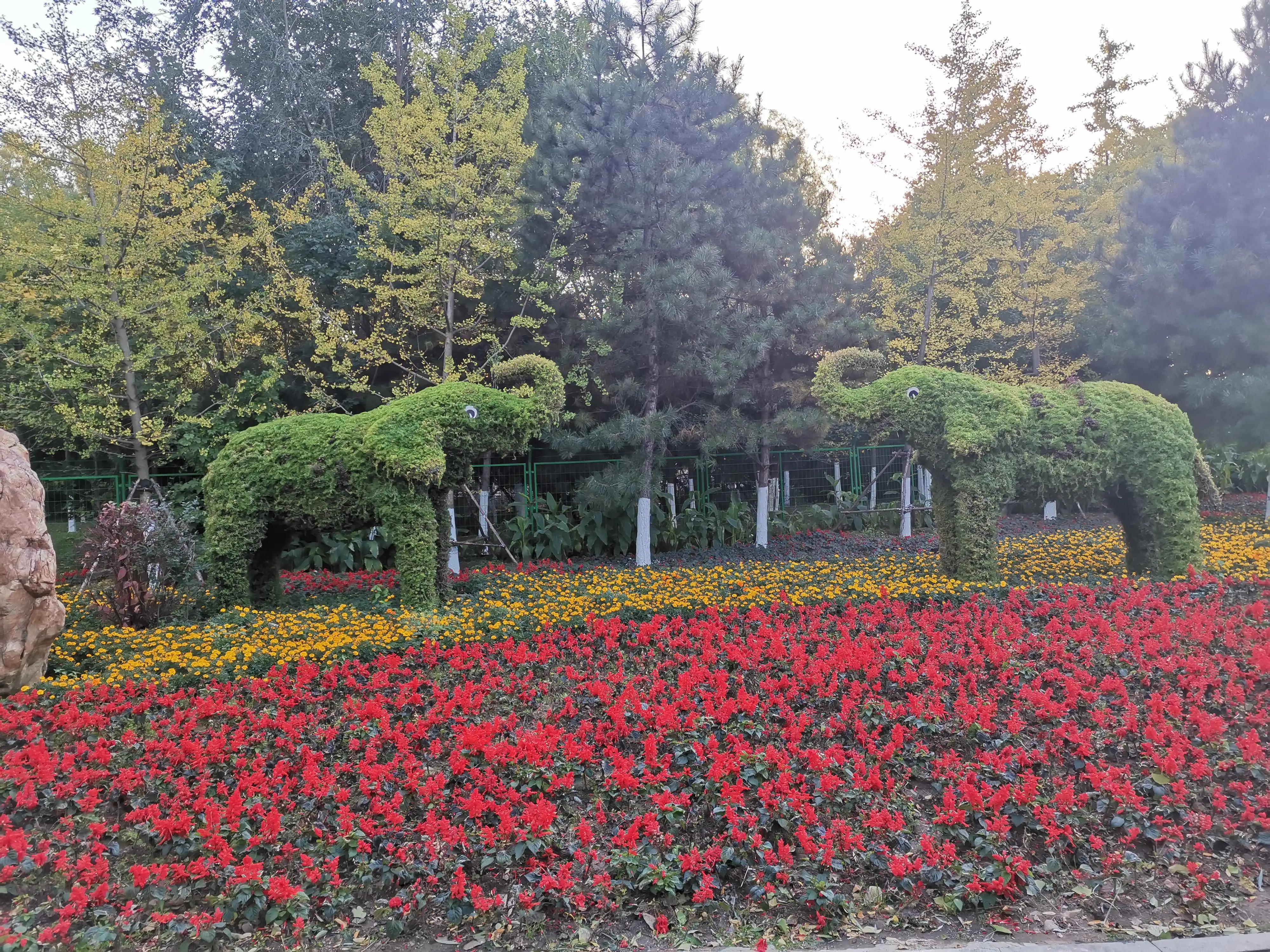 沈阳长白岛森林公园旅游攻略,沈阳长白岛森林公园冬天瀑布