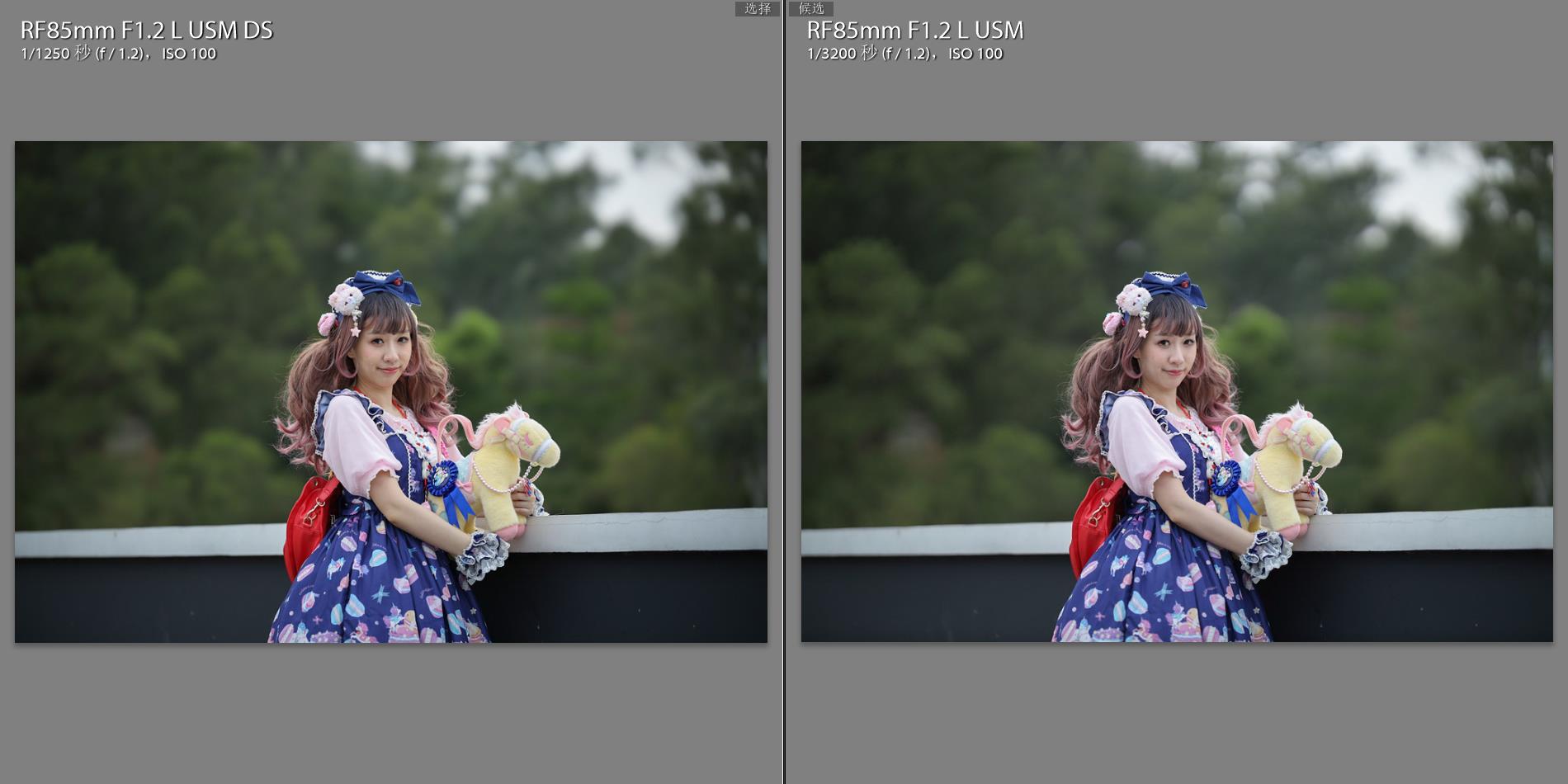 佳能大光圈人像rf镜头,佳能微距镜头rf100mm