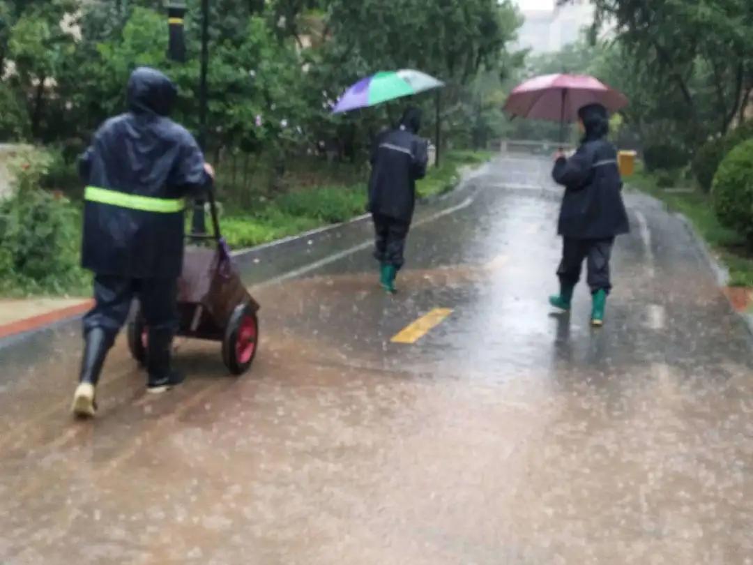 泰华物业是什么服务,泰华物业