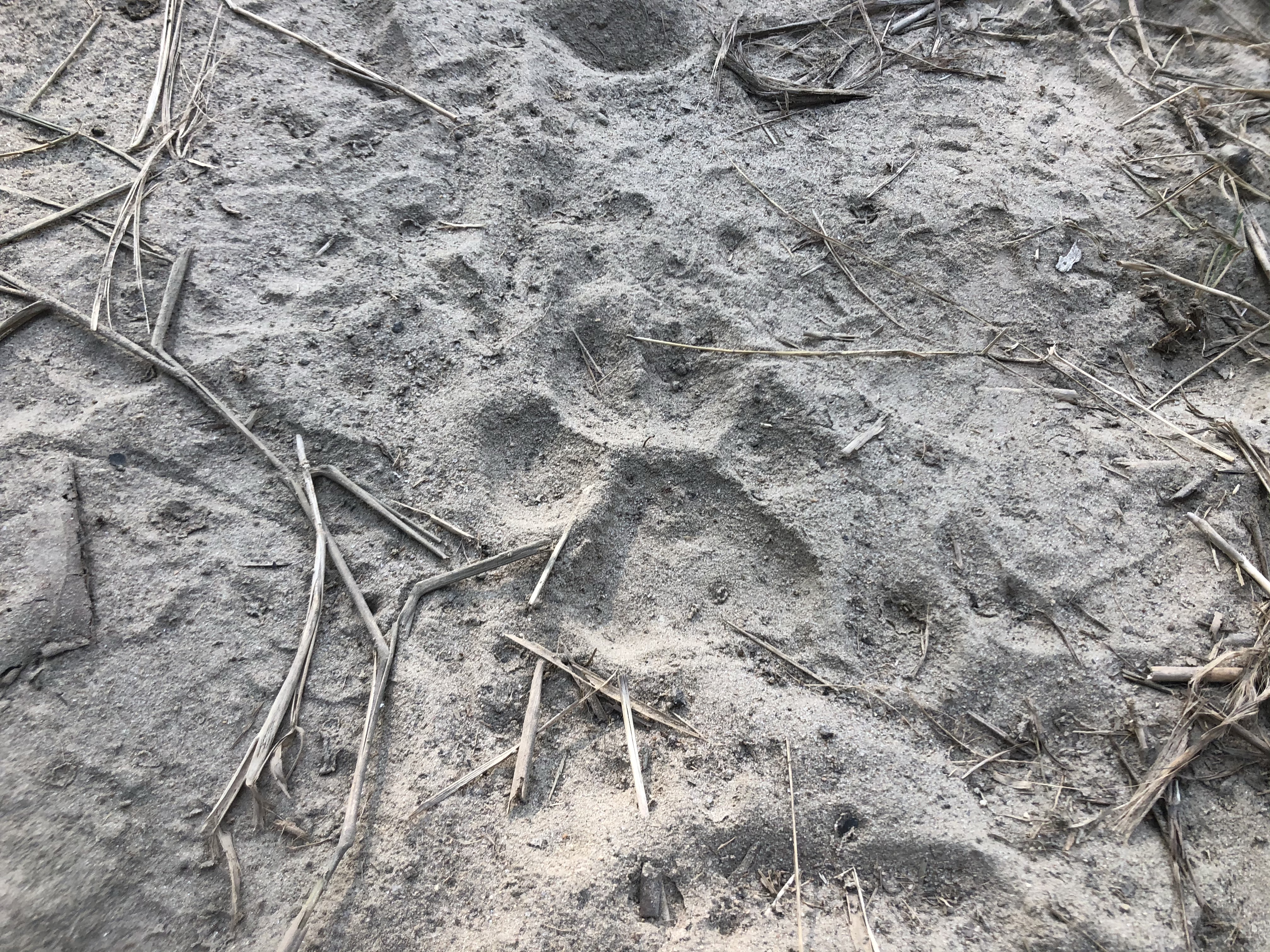 尼泊尔自由行旅游攻略,尼泊尔自驾游纯玩路线定制