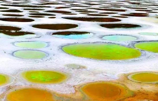 听说过斑马、斑点狗,你听说过斑点湖吗?