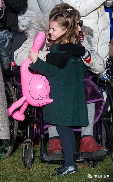 英国王室乔治王子,英国王室乔治夏洛特