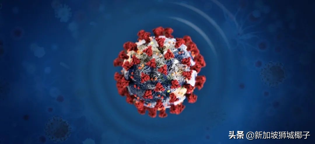 新加坡检测新冠病毒的条件,国家新冠病毒检测抗原