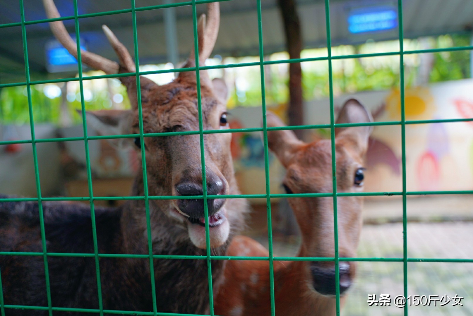 想念三亚的阳光和沙滩海浪,三亚期盼已久的大海
