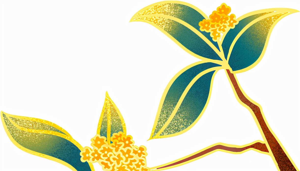 情满重阳孝亲敬老,金秋重阳敬老行浓情关爱暖人心