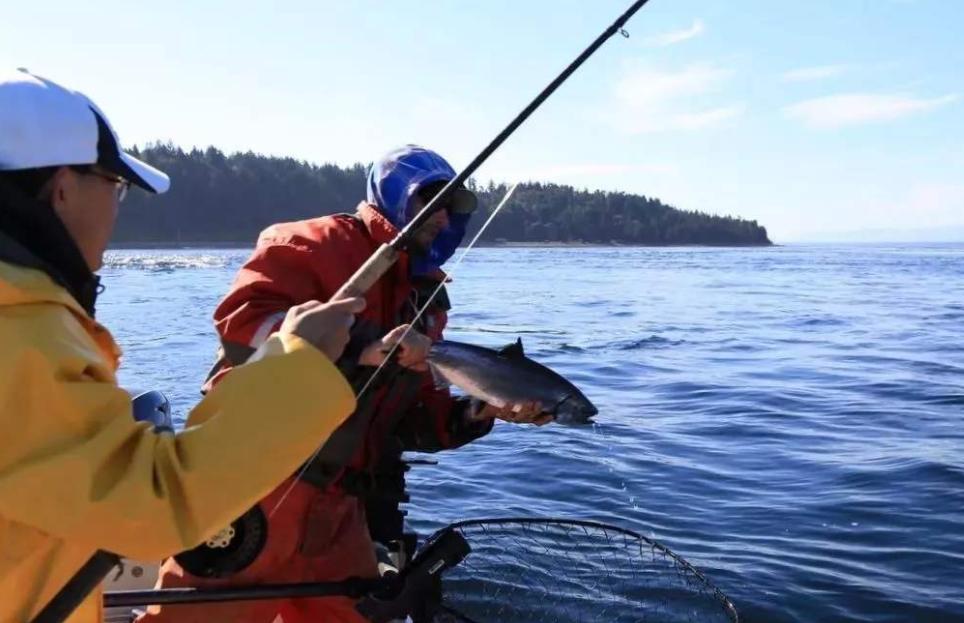 钓鱼学问真多,钓鱼过程中应注意的一些小常识