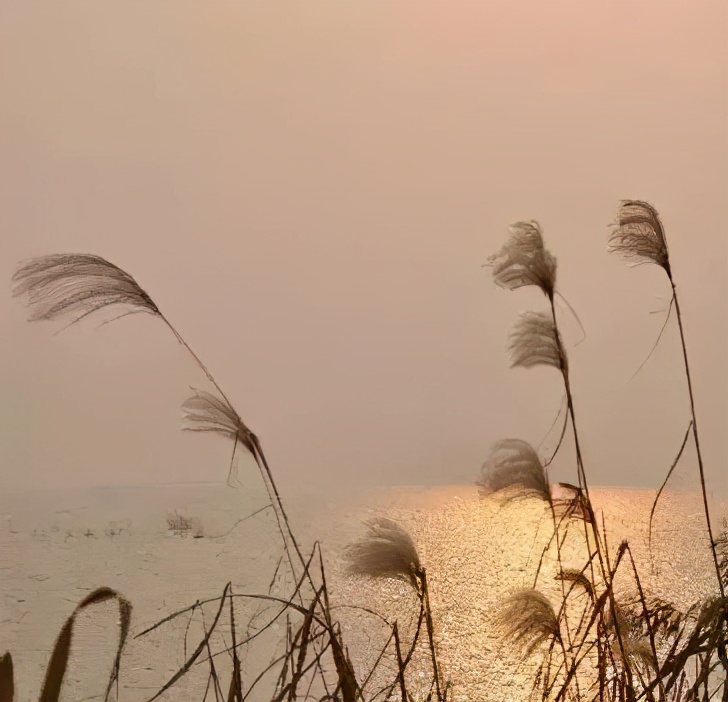 快乐的苏州西山农家乐之旅,苏州西山农家乐自驾游攻略图