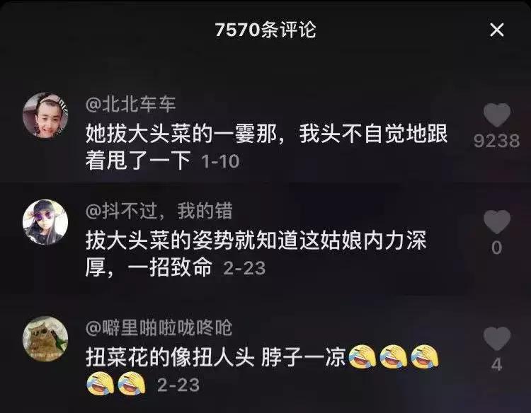 娶妻当娶李子柒小说作品列表,娶妻当娶李子柒前一句是啥