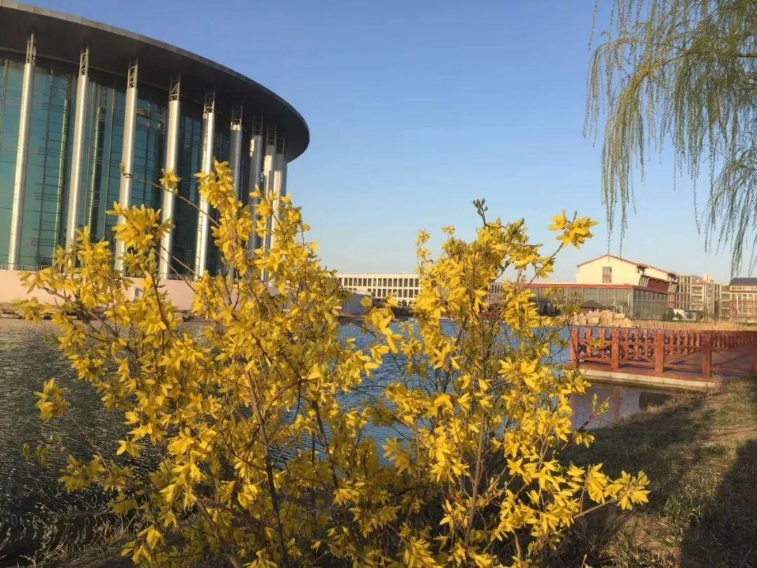 李光洁蒋欣河南艺术职业学院,蒋欣河南艺术职业学院什么专业