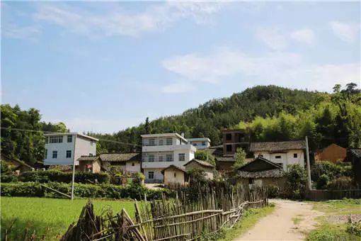 宅基地证丢失去哪里补办,现在宅基地证丢了怎么办