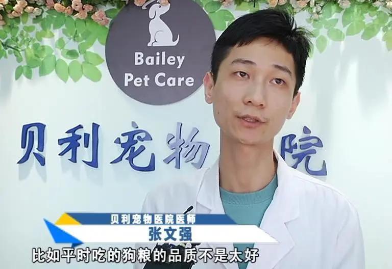 寄养“恶霸”离奇暴毙，医生说，可能是热的……