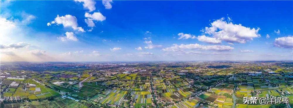 定了！2021年，嘉善各镇（街道）要干这些实事