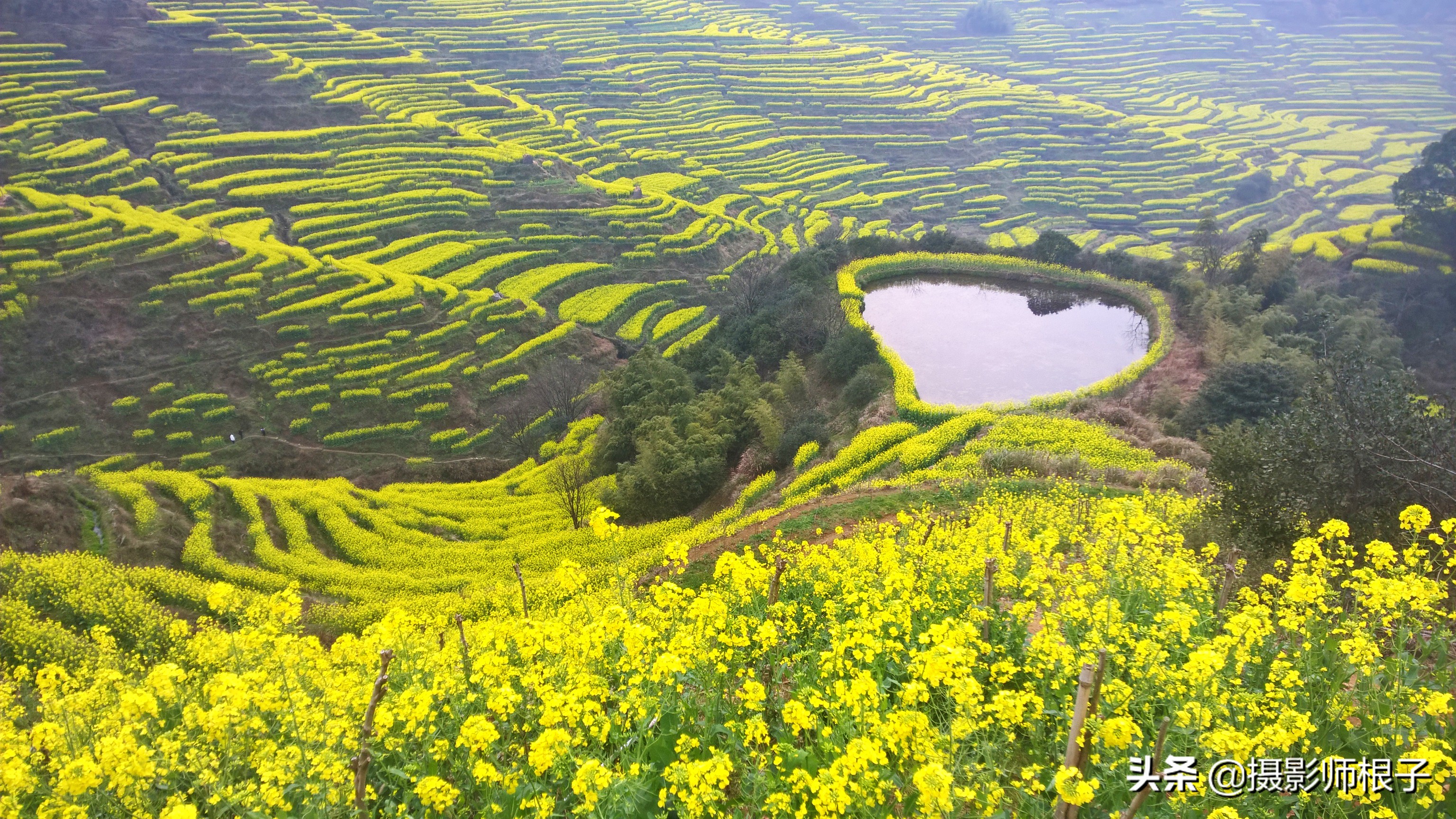诺基亚1520的拍照能力有多强,诺基亚1520和925拍照对比