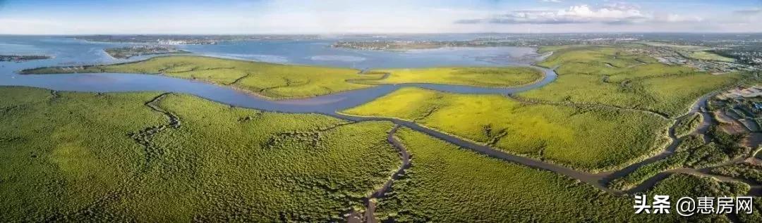 海南自贸区和迪拜自贸区区别,海南自贸港政策体系